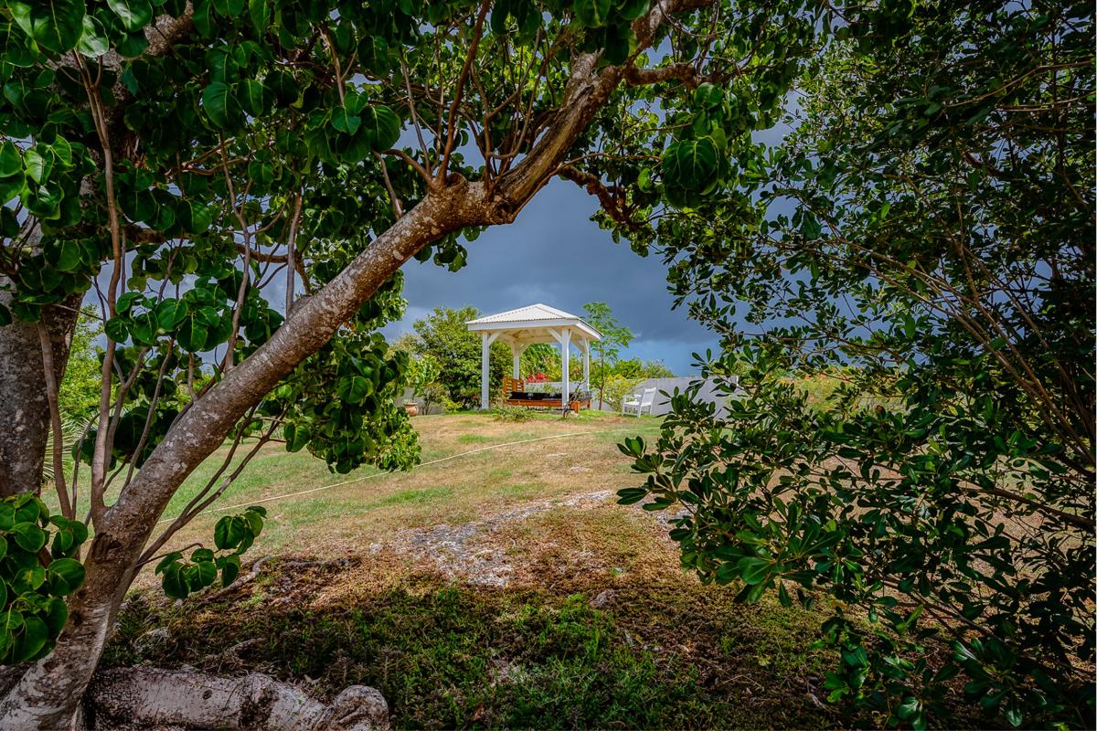 Luxury Villa Rental St Martin - Garden